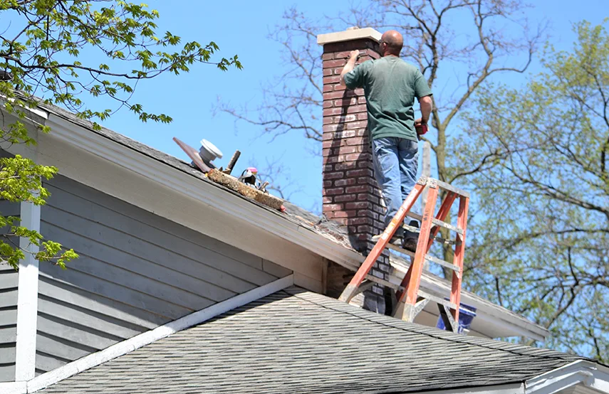 Chimney & Fireplace Inspections Services in Chicago Ridge, IL